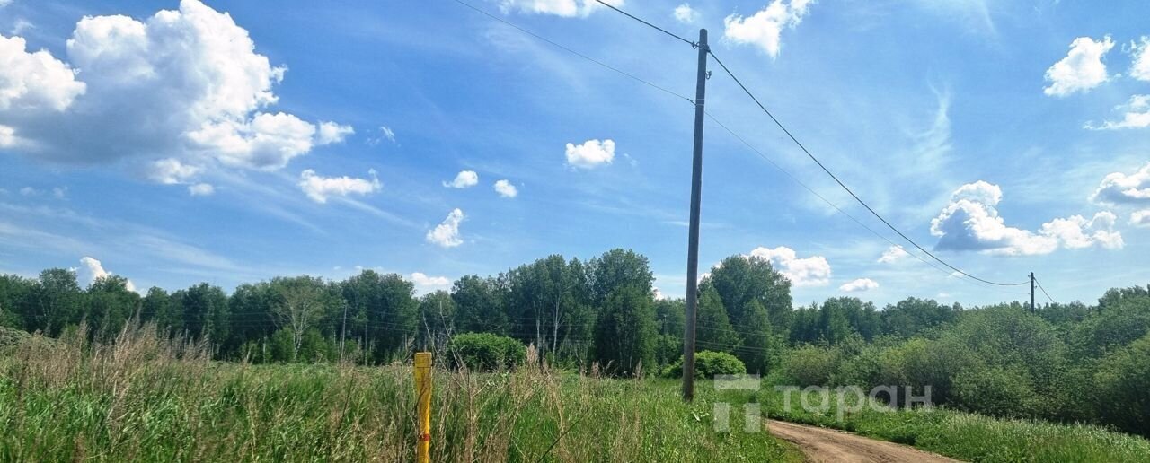 земля р-н Сосновский д Полетаево 2-е ул Лесная Полетаевское сельское поселение, Челябинск фото 2