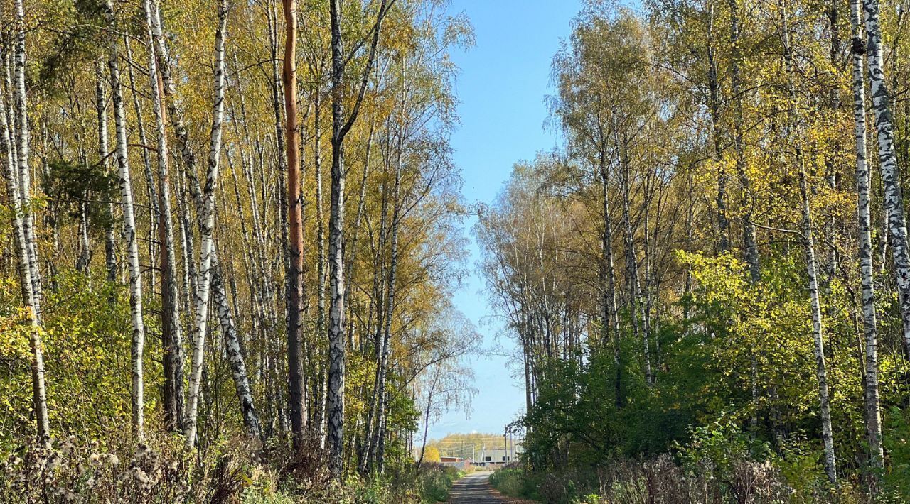 земля г Домодедово д Минаево КП Южный Парк 358 фото 30