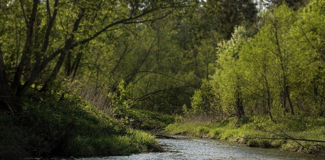 земля городской округ Шаховская д Дор КП Дорино ДНП фото 15