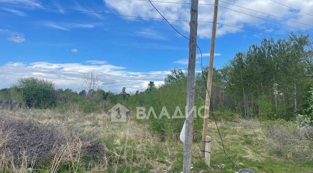 земля р-н Нанайский с Маяк ул Центральная фото 4