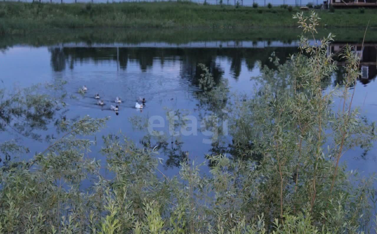 земля р-н Нижнетавдинский садоводческое некоммерческое товарищество Венеция, Тюмень фото 2