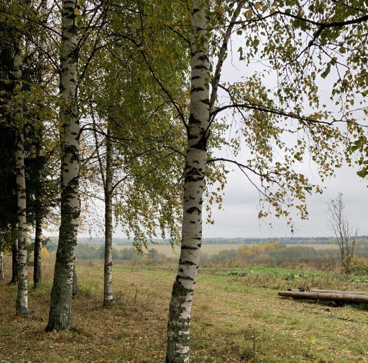 земля р-н Вологодский д Прохорово фото 2