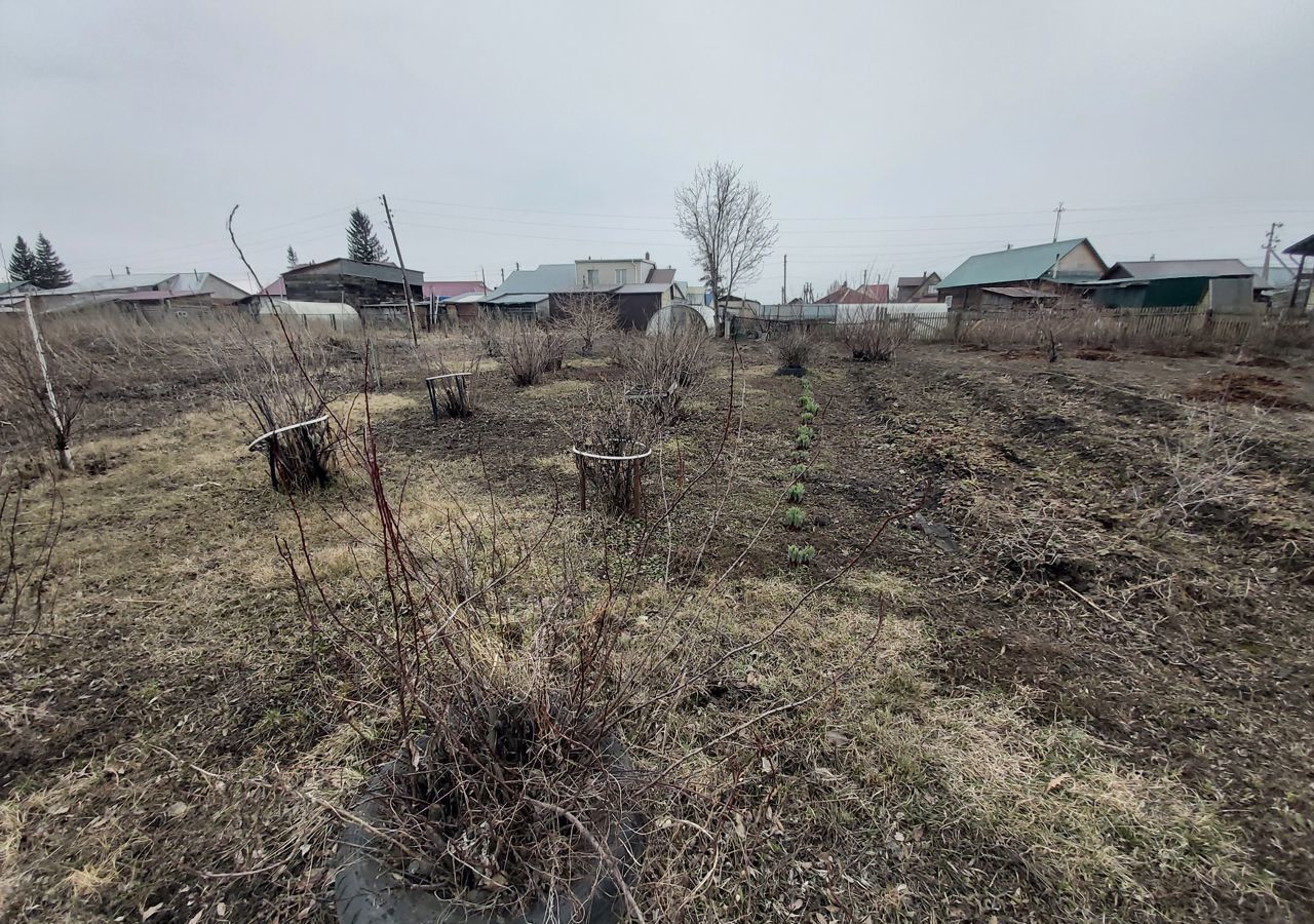 земля р-н Новосибирский с Барышево ул Ленина 187 Барышевский сельсовет фото 3