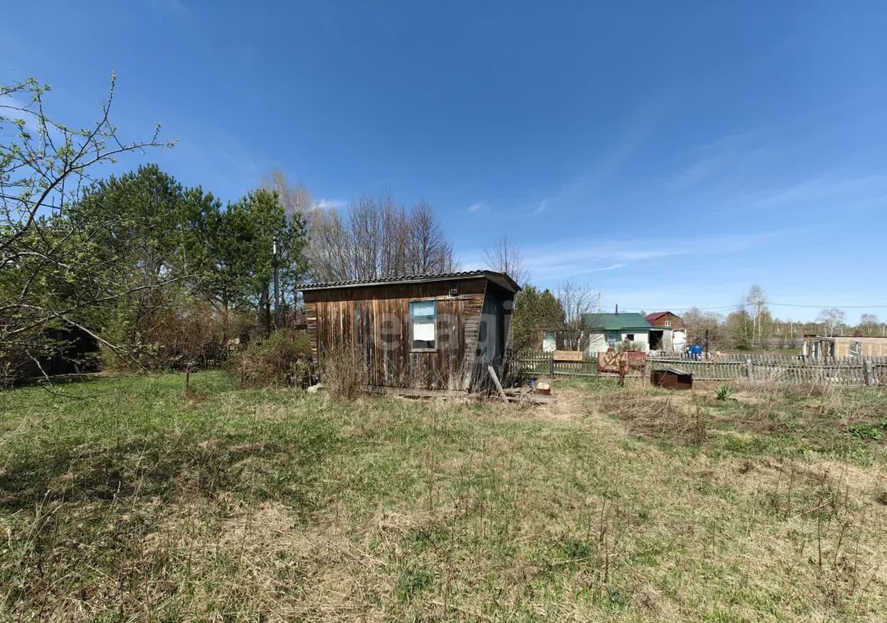 земля р-н Коченевский снт тер.Тальник Новосибирск фото 3