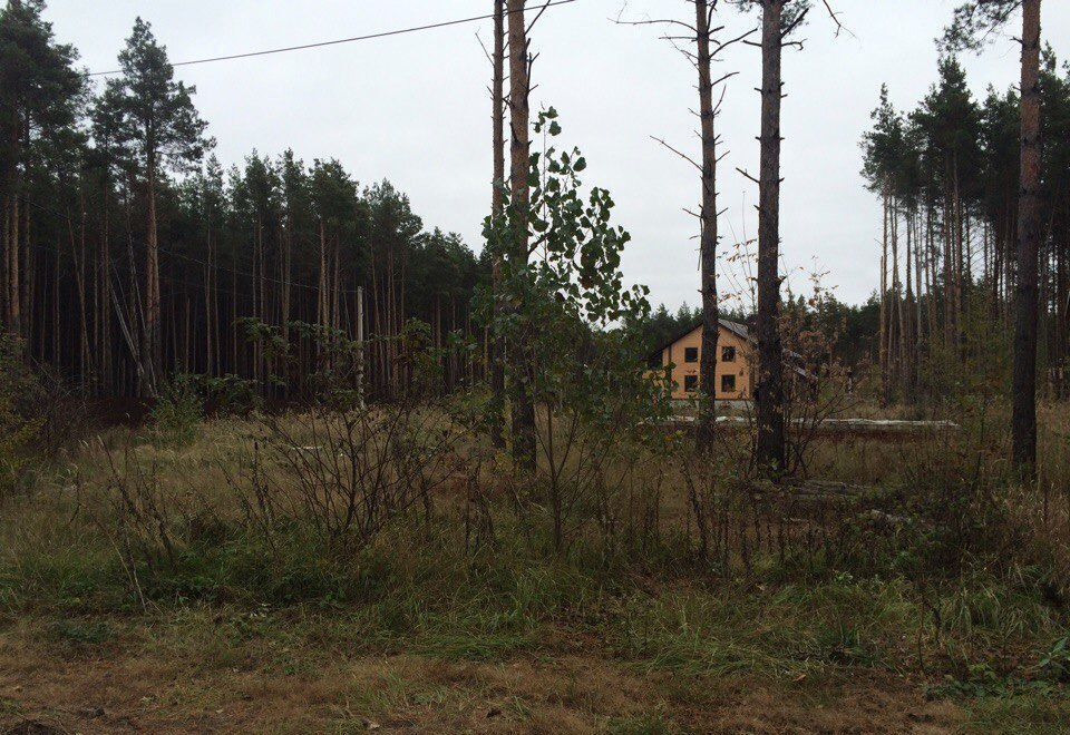 земля р-н Рамонский д Богданово ул Серебряный бор Рамонь фото 2