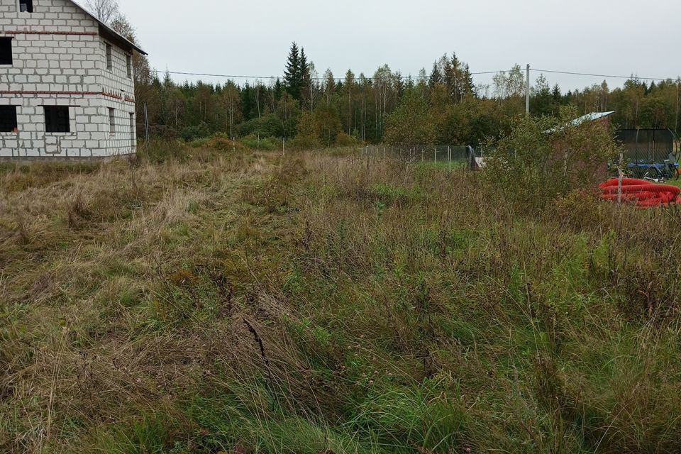 дом городской округ Можайский деревня Елево фото 10