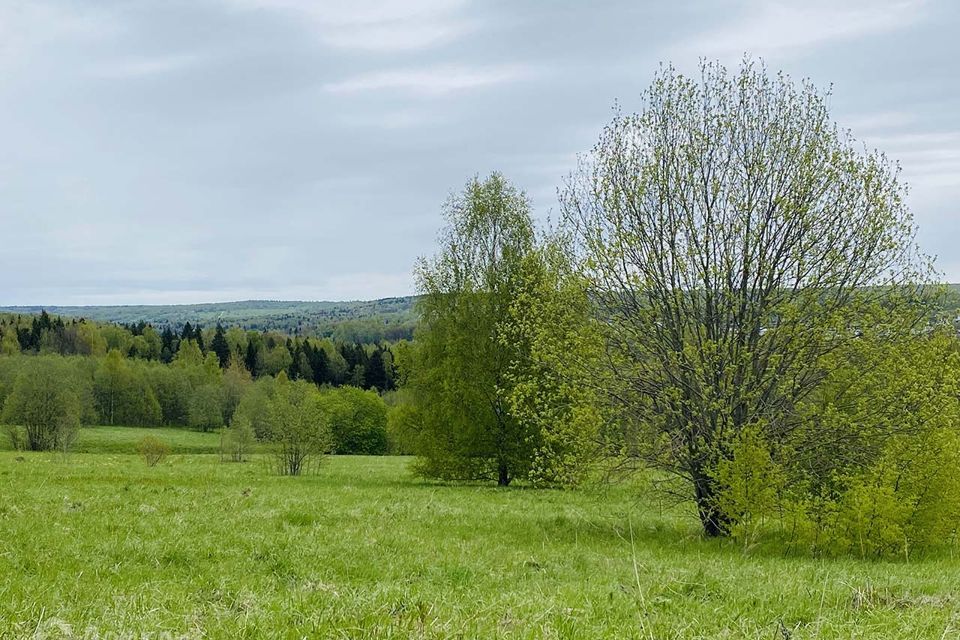 земля городской округ Дмитровский фото 4