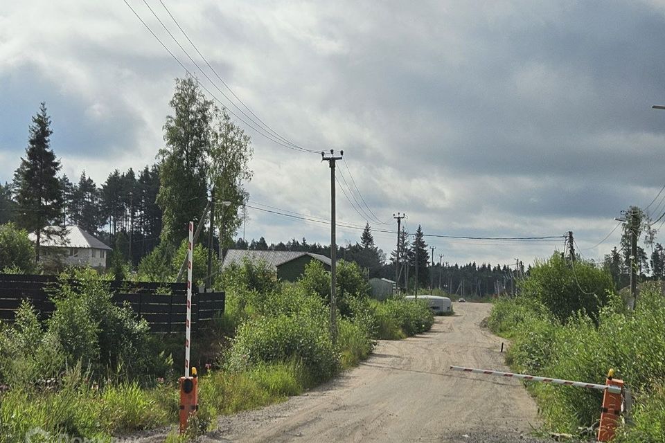 земля р-н Всеволожский садоводческое некоммерческое товарищество Заречное фото 6