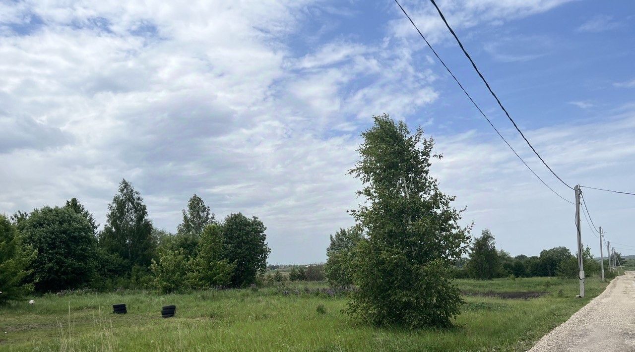 земля городской округ Серебряные Пруды д Серково ул Дачная фото 4