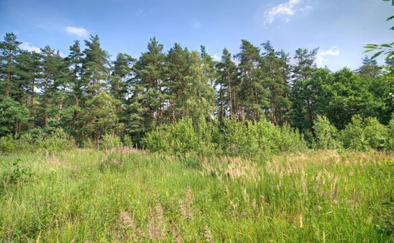 земля городской округ Одинцовский г Звенигород местечко Благодать фото 2