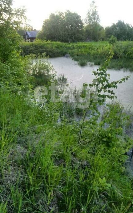 земля р-н Судиславский д Данилково Судиславское сельское поселение фото 3