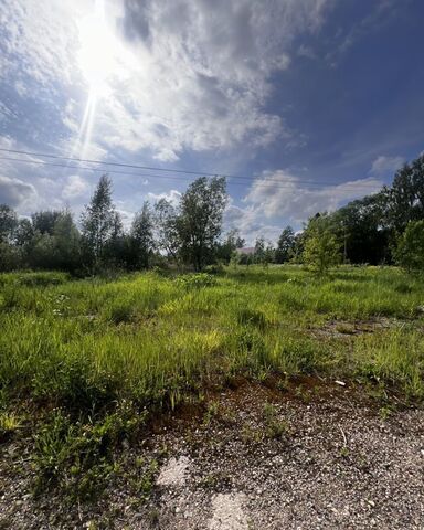 городской округ Клин п кирпичного завода Клин фото