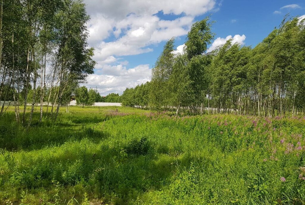 земля городской округ Дмитровский д Капорки Лобня фото 27