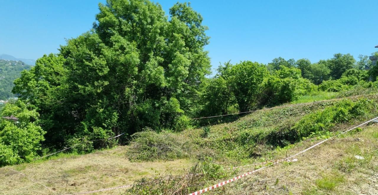 земля г Сочи р-н Лазаревский снт тер.Чаевод Лазаревский район фото 2