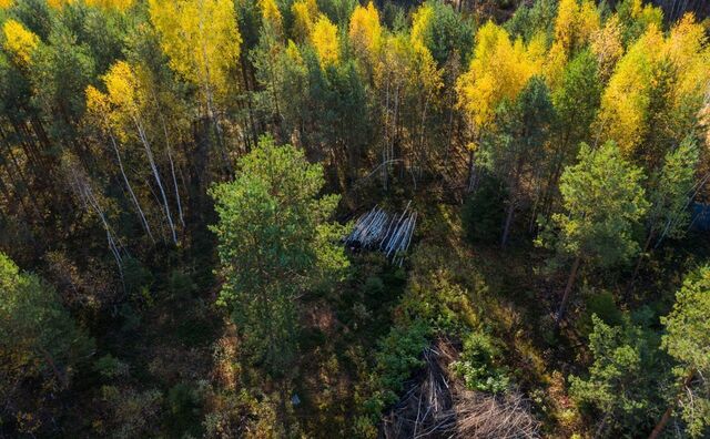 садовое товарищество Омхово фото