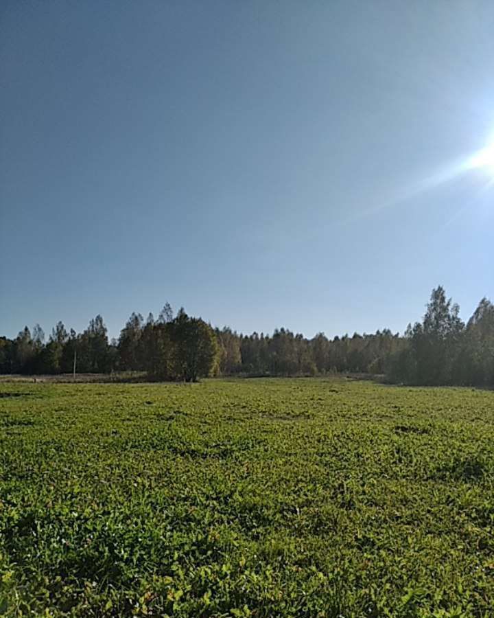 земля р-н Новоржевский д Плушкино Новоржев фото 2