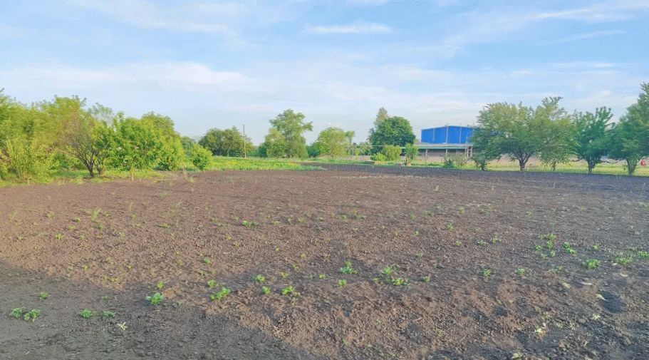 земля городской округ Богородский с Балобаново ул Набережная фото 1