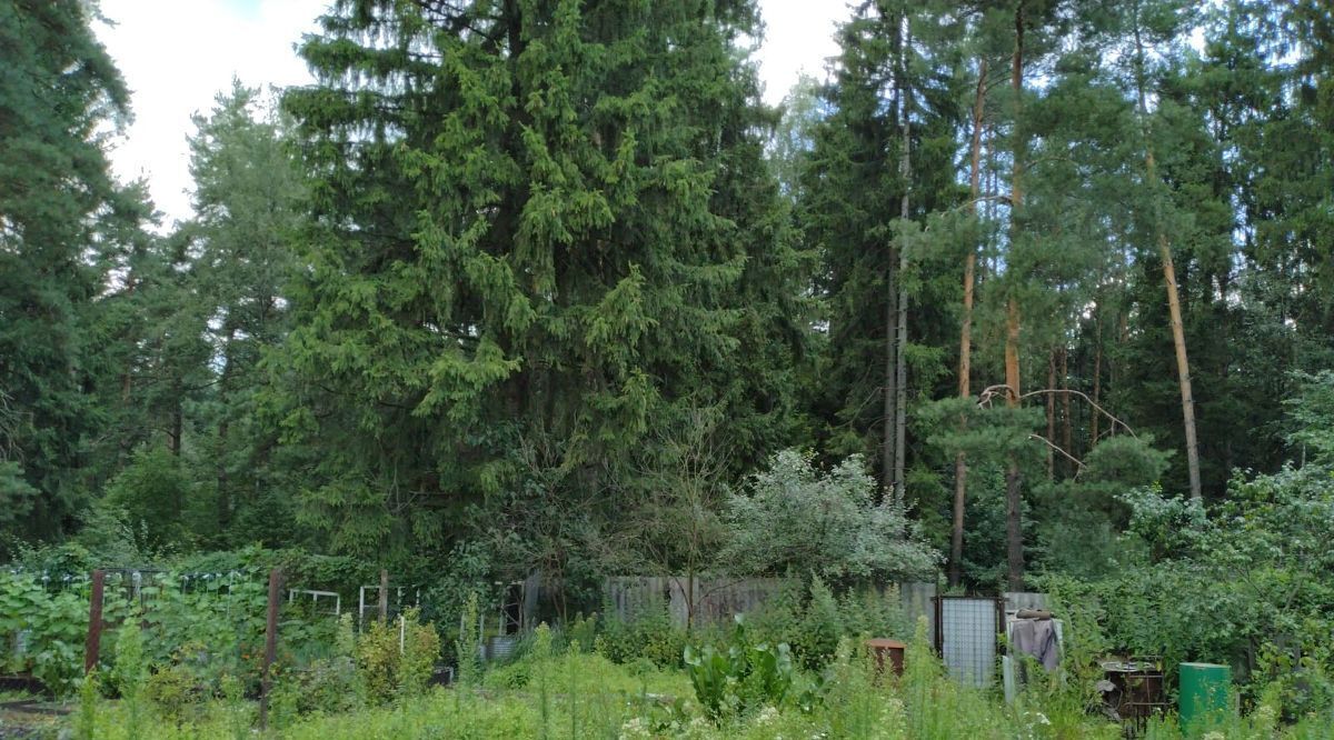 дом городской округ Раменский д Кузнецово снт Энергетик Ипподром фото 6