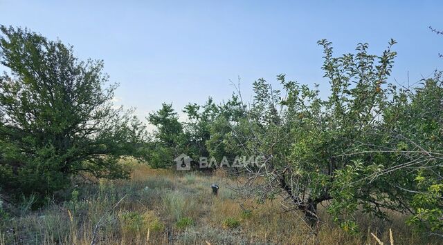 р-н Кировский снт тер.Берендей 9-я линия фото