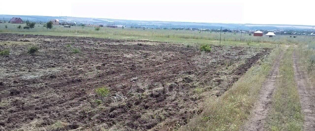 земля р-н Родионово-Несветайский сл Родионово-Несветайская ул Айвовая Родионово-Несветайское сельское поселение фото 2