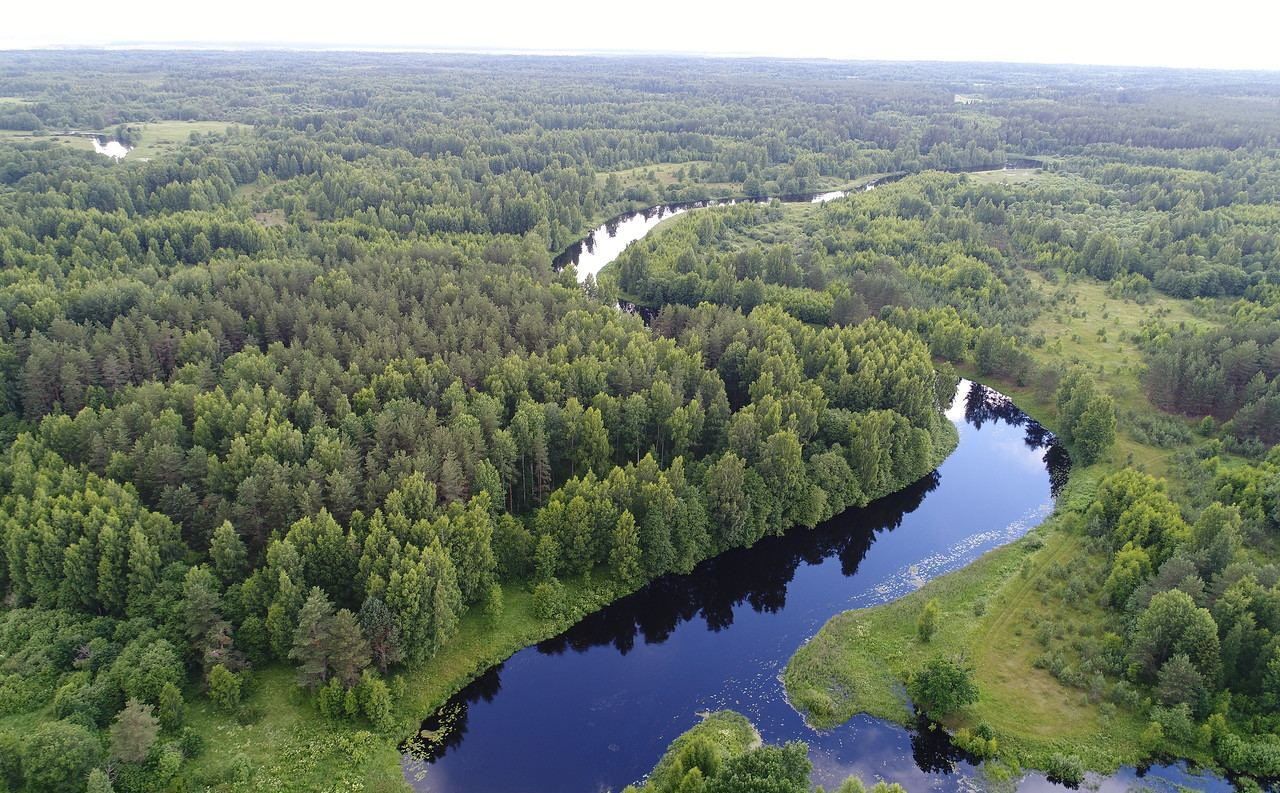 земля р-н Бологовский г Бологое Бологое-2 фото 12