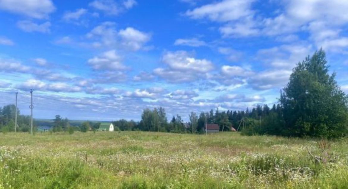 земля р-н Кировский Назиевское городское поселение, Зеленый лес дп, 192 фото 2