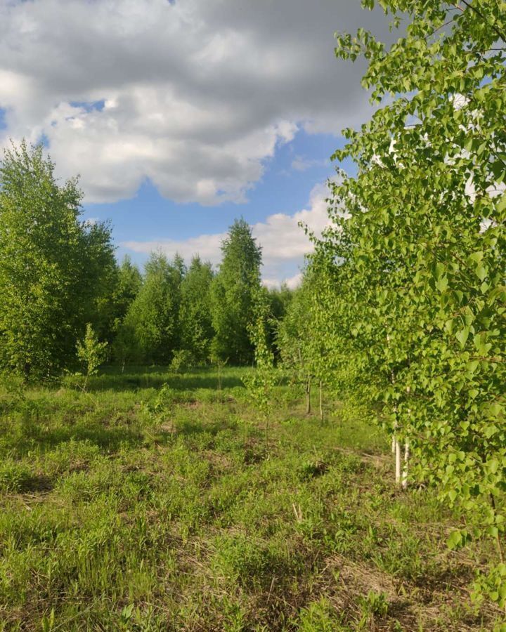 земля р-н Богородский д Килелей Буревестник фото 3