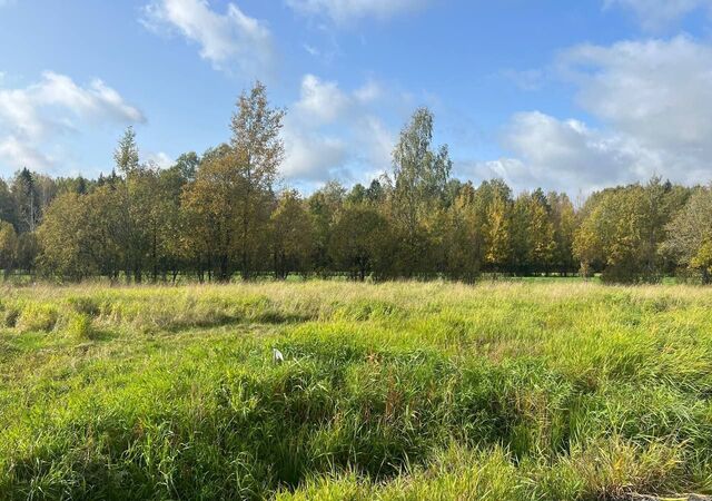 земля Лесколовское сельское поселение, Цветочная ул, Лесколово фото