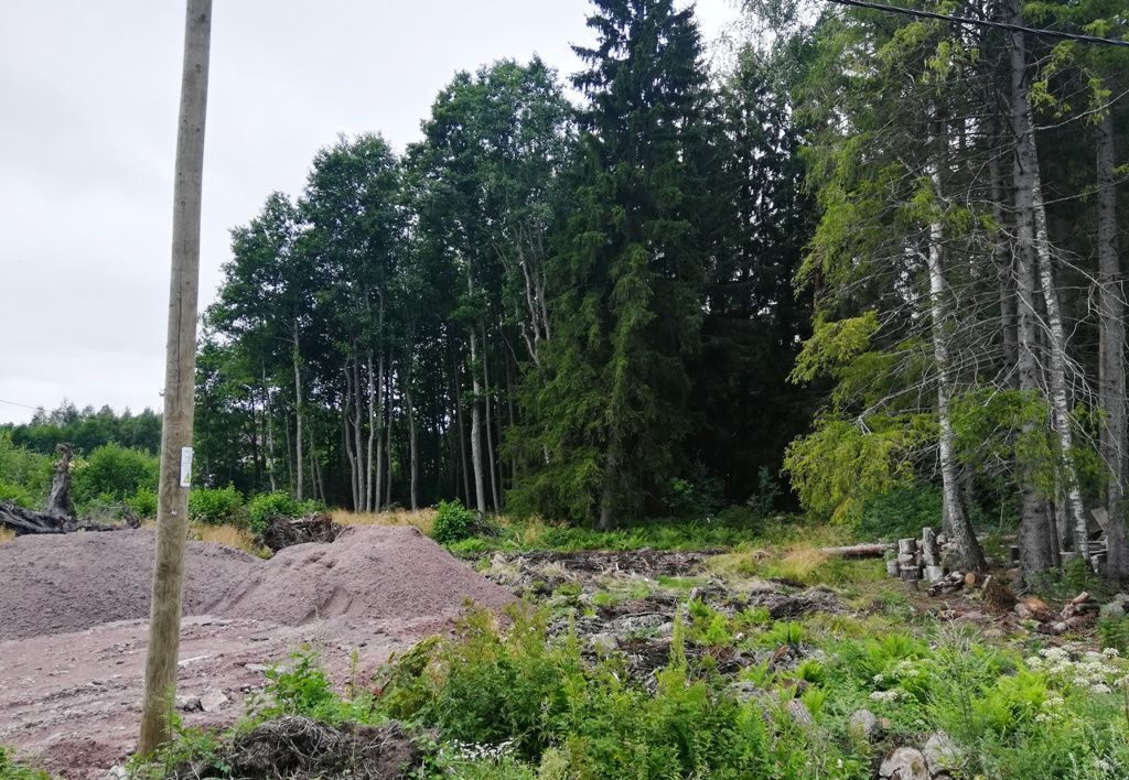 земля р-н Выборгский г Выборг Советское городское поселение, пос. при железнодорожной станции Матросово, Правобережная ул фото 8