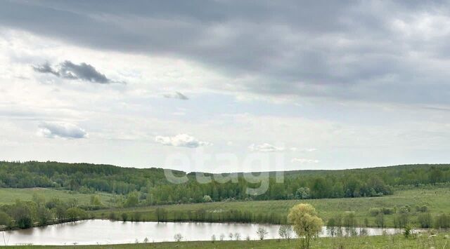 земля Протасовское муниципальное образование фото