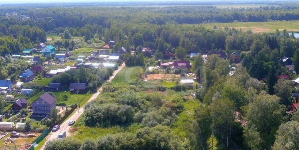 земля р-н Нижнетавдинский снт Лесная Сказка Тюмень фото 3