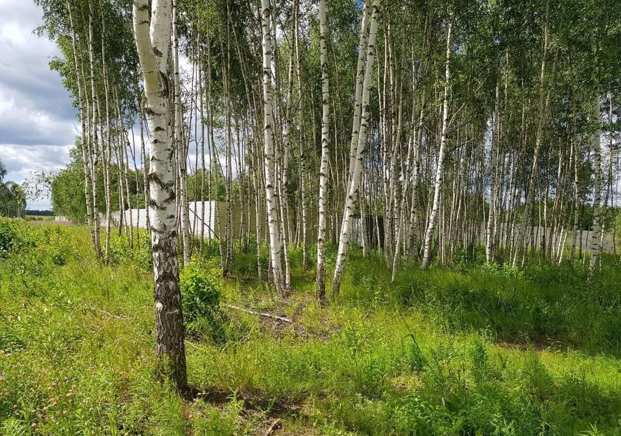 земля городской округ Дмитровский д Капорки Яхрома фото 35