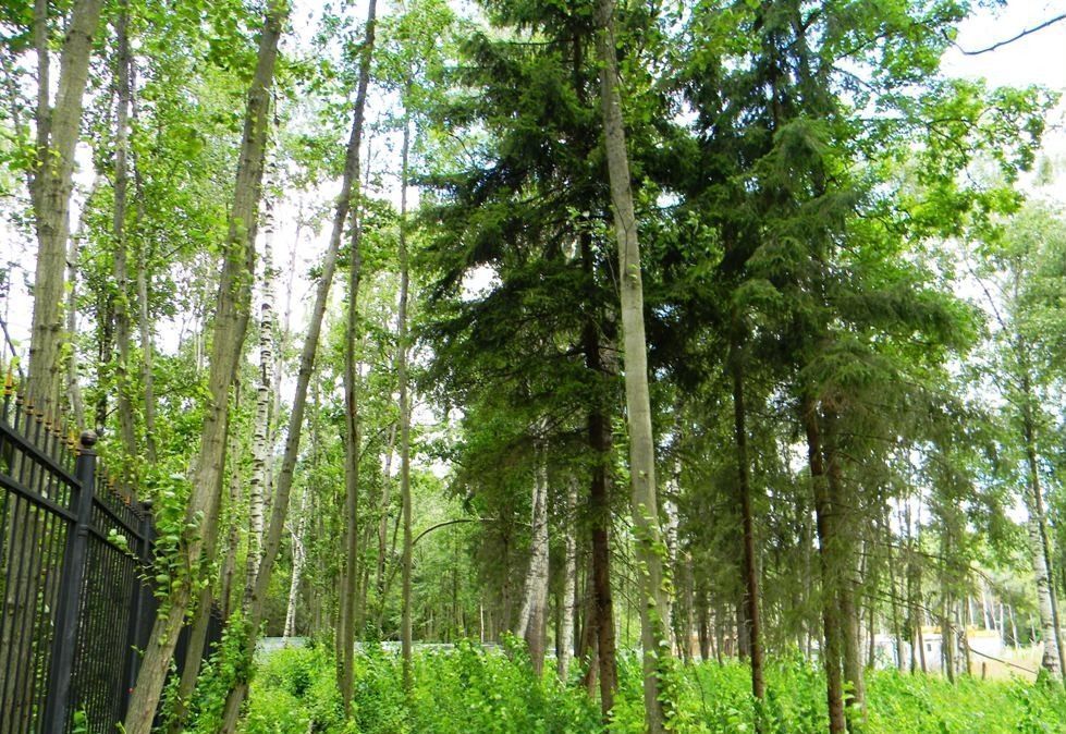 земля городской округ Одинцовский г Звенигород коттеджный пос. Мэдисон парк фото 5