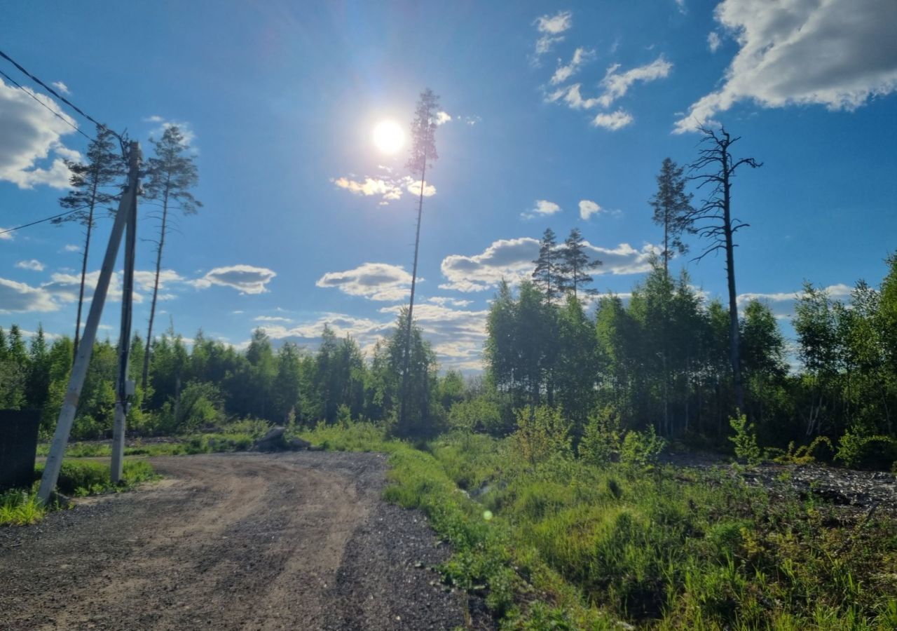 земля городской округ Раменский с Речицы коттеджный пос. Фенино Лесное фото 1