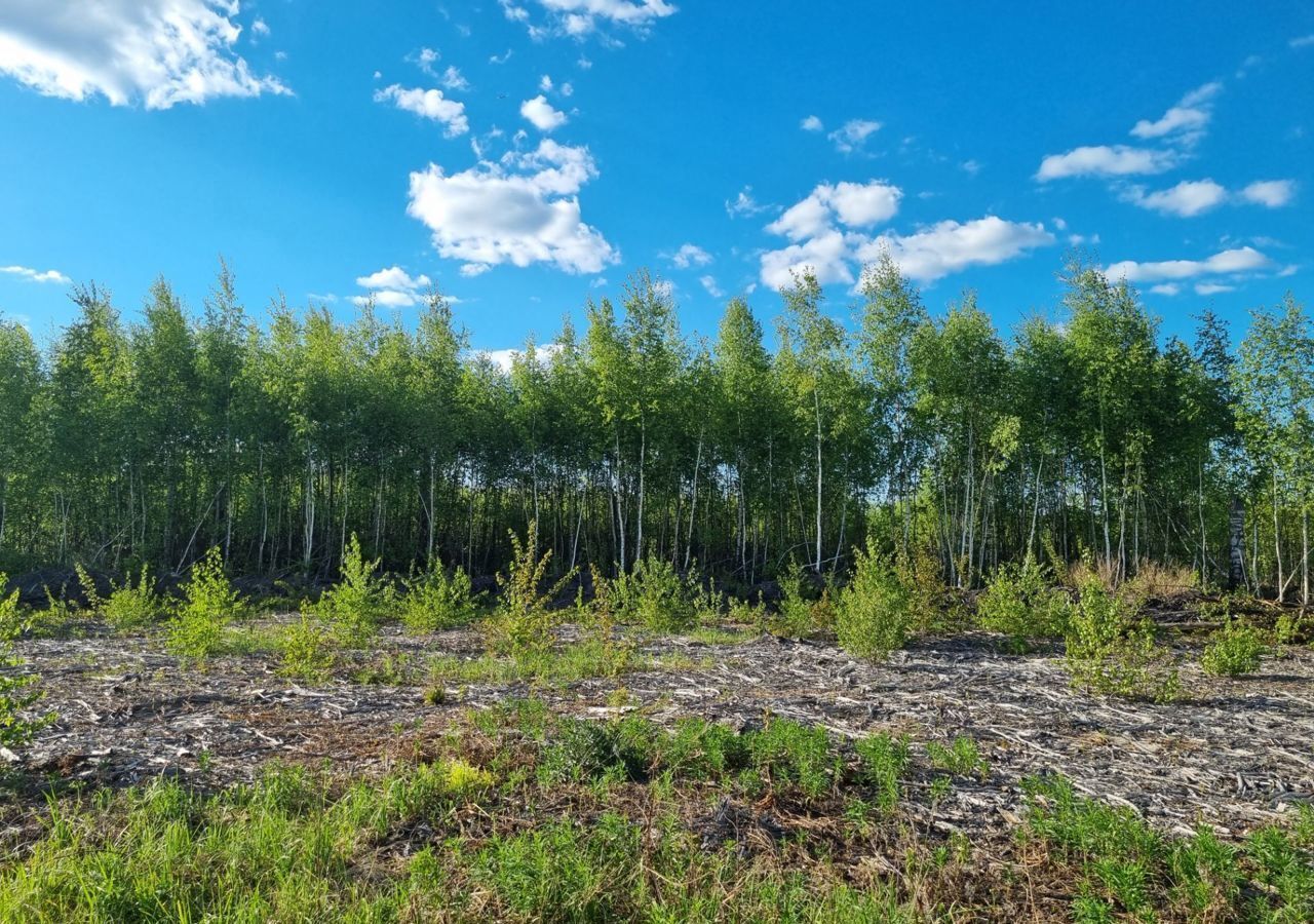 земля городской округ Раменский с Речицы коттеджный пос. Фенино Лесное фото 2