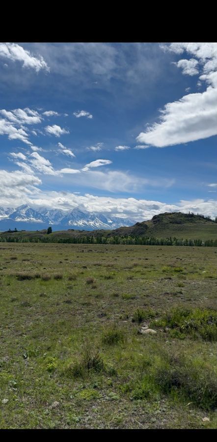 земля р-н Кош-Агачский с Курай Усть-Улаган фото 1