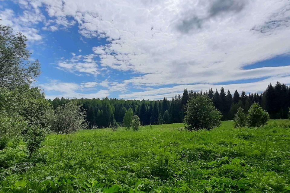 дом Добрянский городской округ, квартал Скальная фото 2