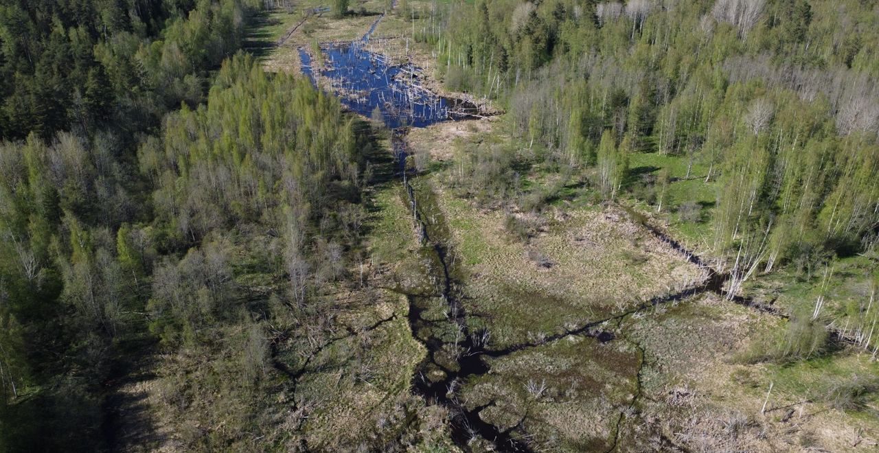 земля р-н Приозерский п Коммунары Трасса Сортавала, 10600 км, Плодовское сельское поселение фото 3