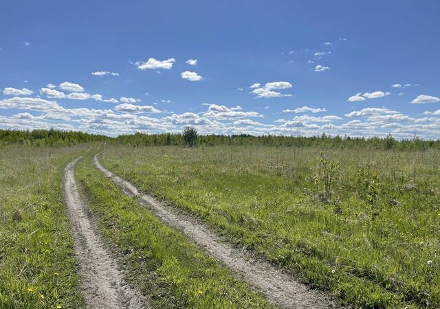 д Верхняя Есауловка Шалинское фото