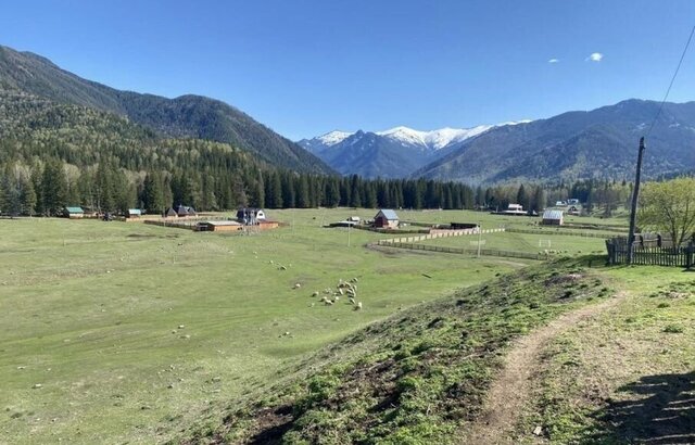 гск Центральный сквер фото