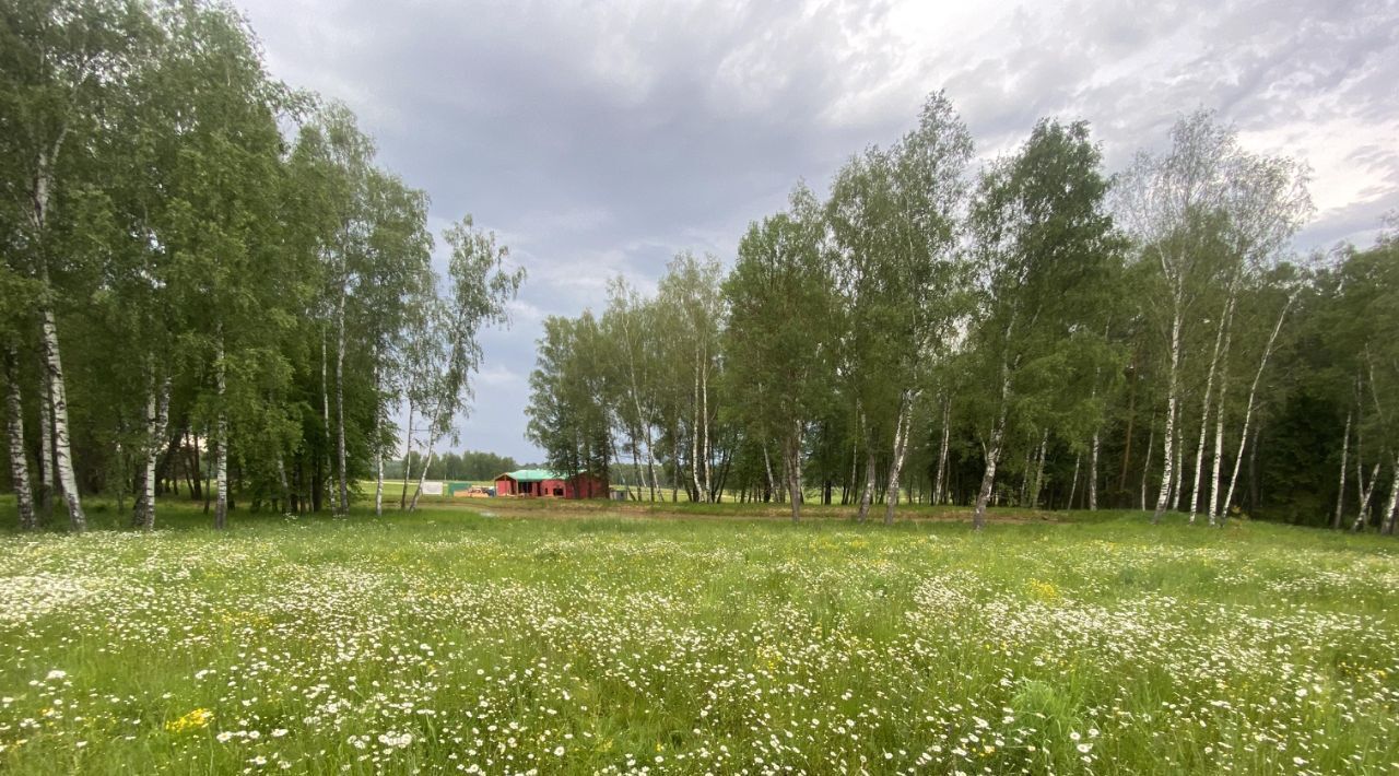 земля городской округ Ступино с Семёновское ул Центральная 15 фото 1