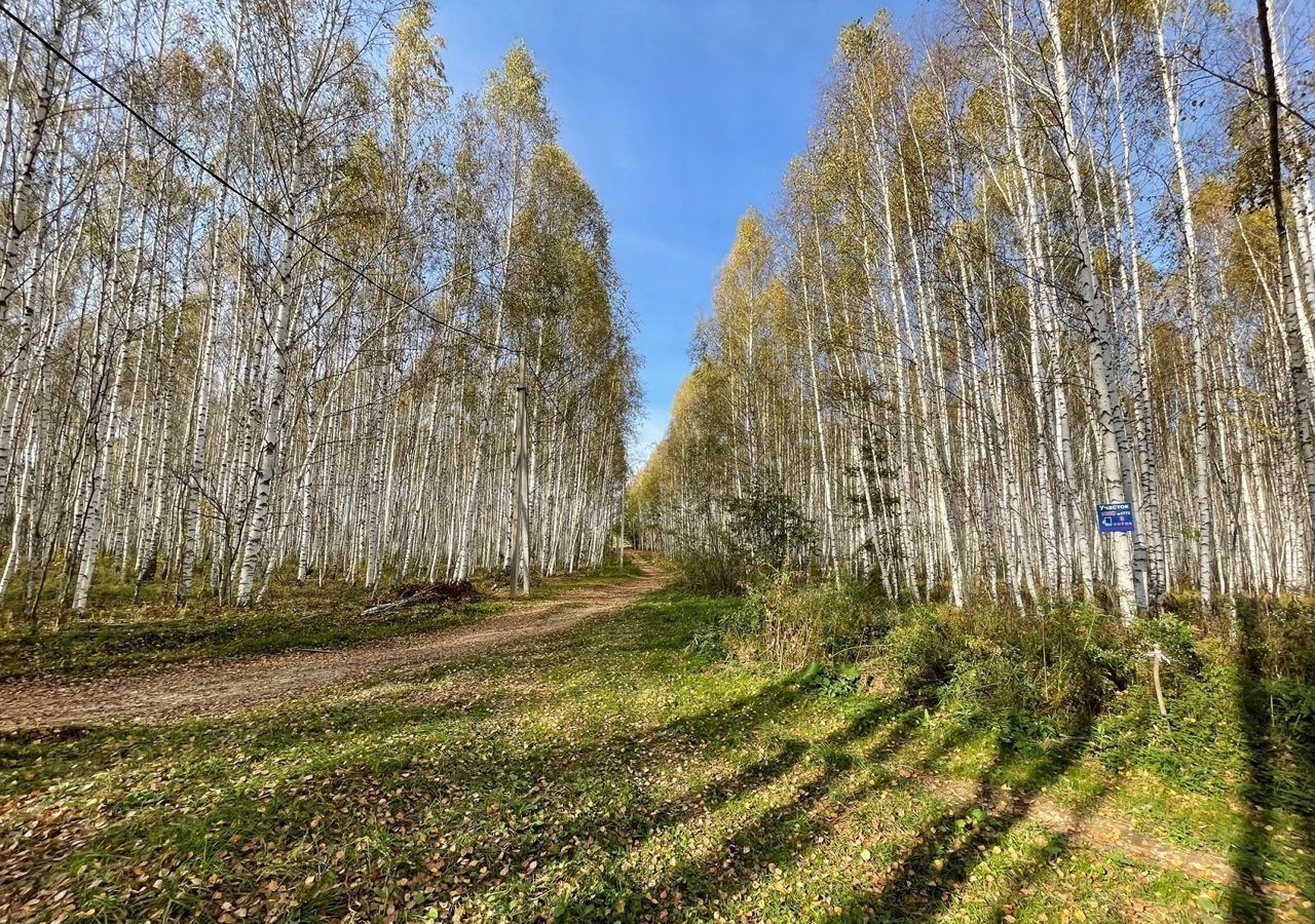 земля р-н Лысковский г Лысково сельский пос. Бор фото 8