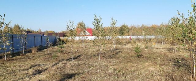 земля Буревестник фото