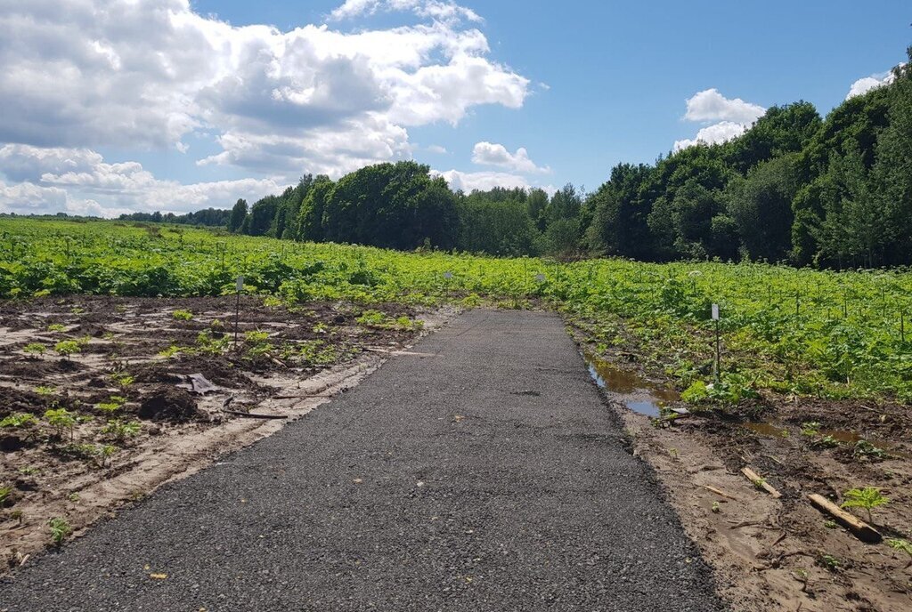 земля городской округ Клин д Мишнево фото 3