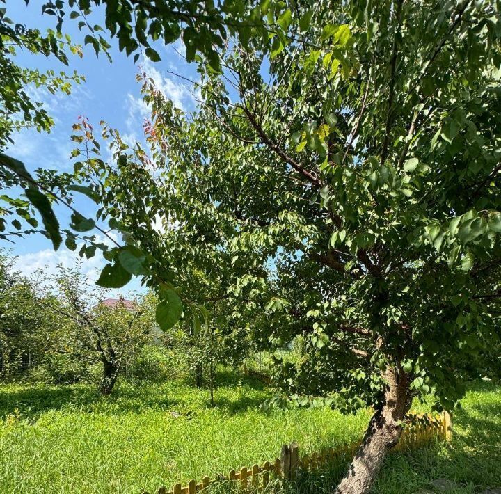 дом р-н Орловский пгт Знаменка снт Дружба 1-я линия фото 17