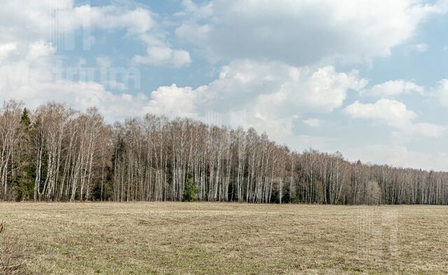 земля Москва, направление Киевское (юго-запад), Боровское шоссе фото