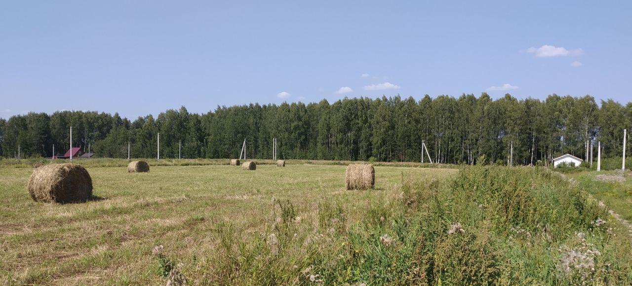 земля городской округ Дмитровский д Татищево Дмитров фото 2