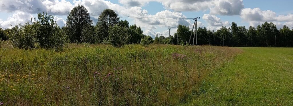 земля городской округ Талдомский д Желдыбино фото 25