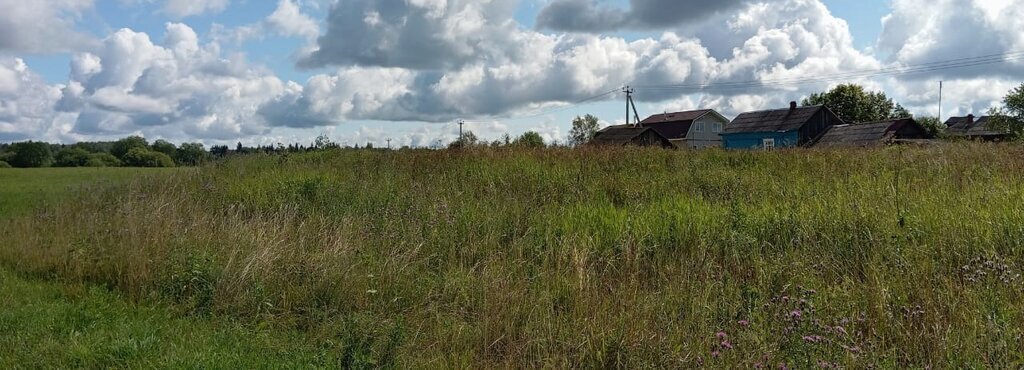 земля городской округ Талдомский д Желдыбино фото 26