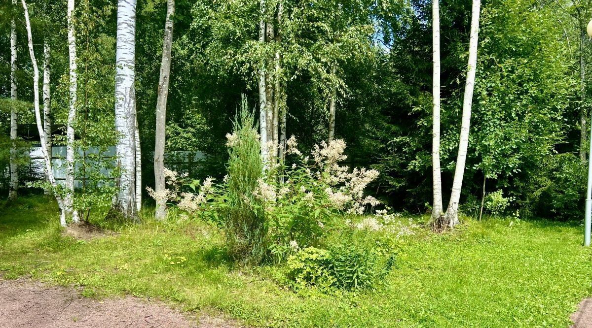 земля р-н Всеволожский массив Белоостров снт Осинка Сертоловское городское поселение, 11-я линия фото 31